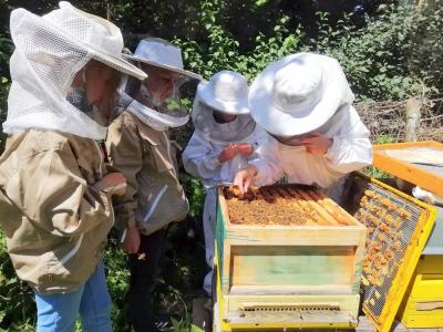 Landheim-Ammersee, mehrere Imker-Kinder vor Bienenstock