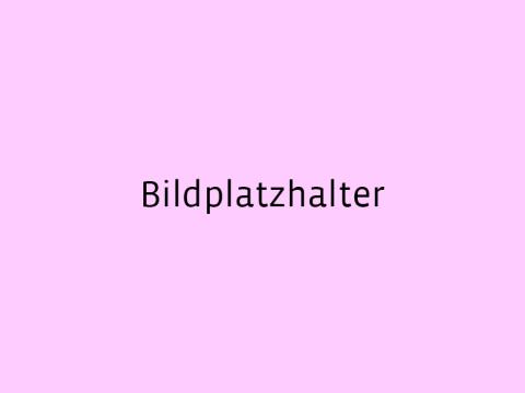 Bildplatzhalter