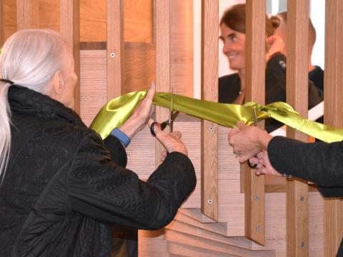 Landheim Ammersee, Förderung, Eröffnung der Buchenhäuser 2025