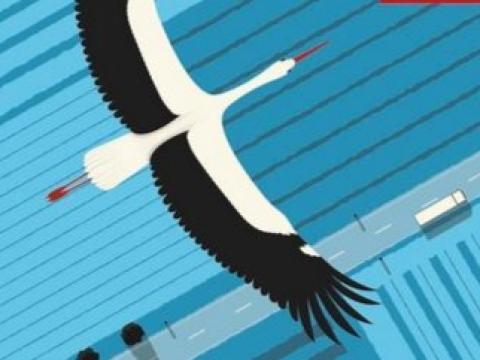 Titelbild Bogdahn Buch Ausschnitt