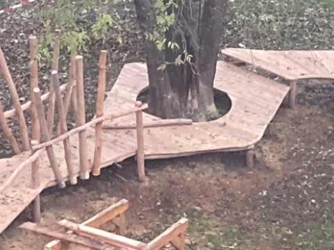 Der Landheim BaumTraum erwacht….