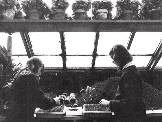 Landheim Ammersee Historisches Bild